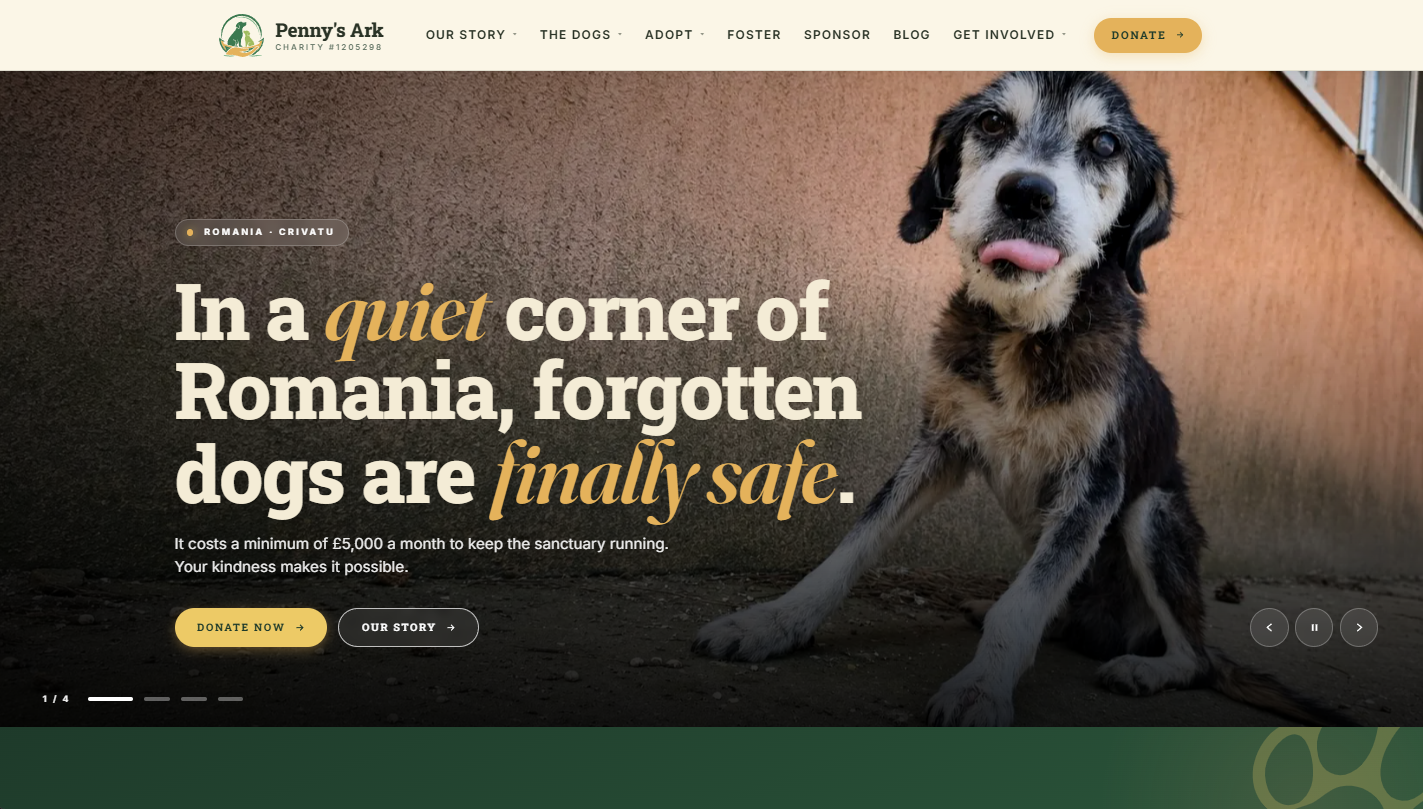 The Penny's Ark charity website, a Romanian dog rescue site with live adoptable-dog listings and zero-fee donations built in.